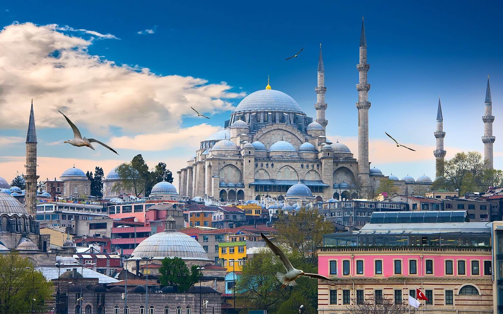 Studying in Turkey in English الدراسة فى تركيا باللغة الإنجليزية